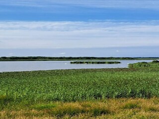 Casa de vacaciones Trend  40