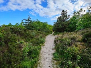 Vakantiehuis Hals  19