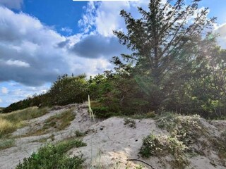 Maison de vacances Hals  14