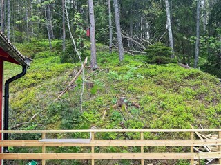 Holiday house Ingarö Outdoor Recording 8