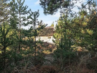 Vakantiehuis Kollerup Strand  27