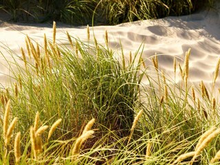 Ferienhaus Kollerup Strand  38