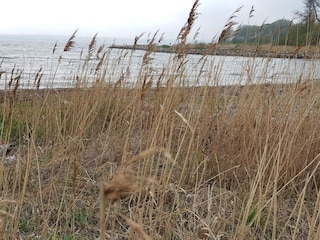 Vakantiehuis Egernsund  16