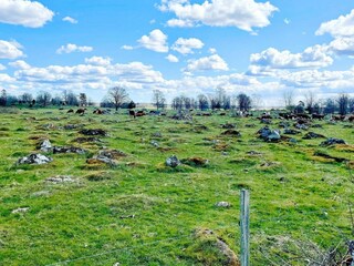 Holiday house Mörlunda  18