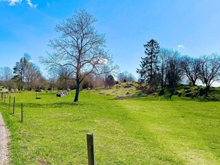 Vakantiehuis Mörlunda  19