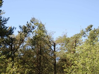 Vakantiehuis Jegum  35