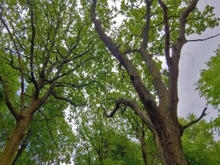 Holiday house Jegum  11