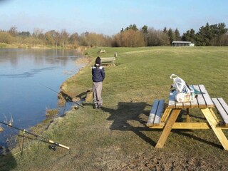 Maison de vacances Jegum  13