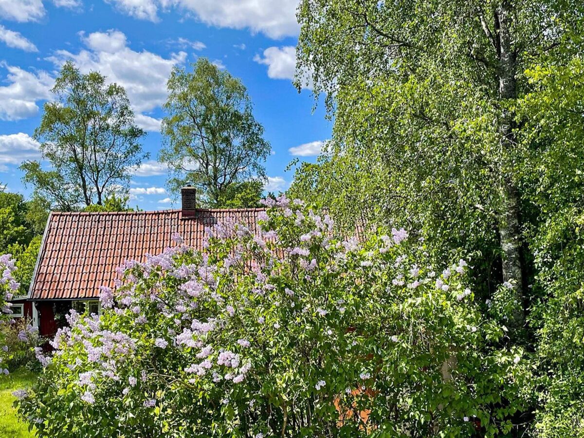 Ferienhaus Degeberga Außenaufnahme 7