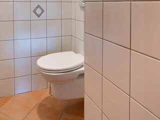 Apartamento Mariapfarr Características 15