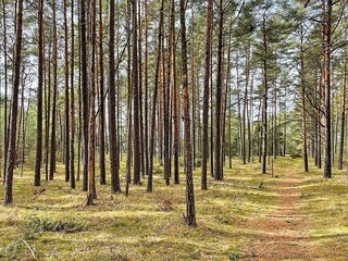 Vakantiehuis Degeberga  21