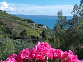 Appartement Podstrana  15