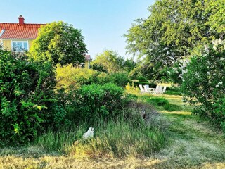 Ferienhaus Lammhult Außenaufnahme 5