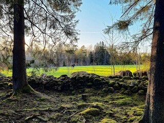 Ferienhaus Lammhult  11