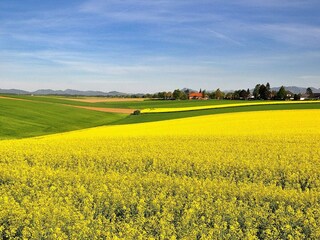 Holiday house Degeberga  6