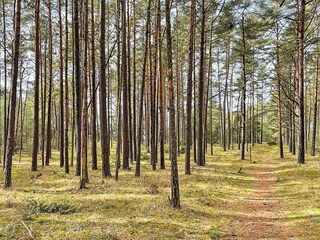 Ferienhaus Degeberga  19