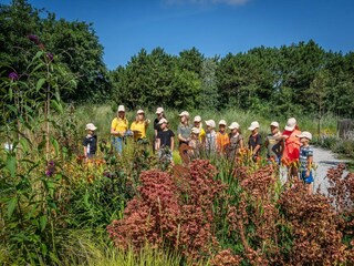 Holiday park De Cocksdorp  25