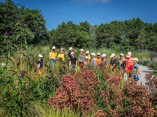 Holiday park De Cocksdorp  28