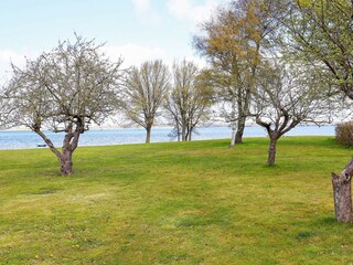 Vakantiehuis Bogø  7