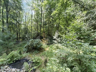 Ferienhaus Schalkhaar Außenaufnahme 5