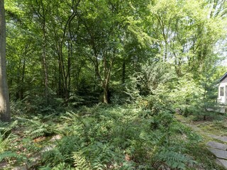 Vakantiehuis Schalkhaar Buitenaudio-opname 12