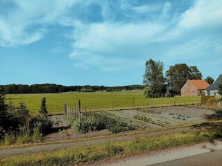 Maison de vacances Schalkhaar Environnement 36