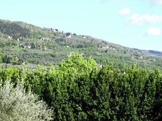 Holiday house Reggello Environment 26