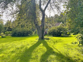 Vakantiehuis Färgelanda Buitenaudio-opname 8