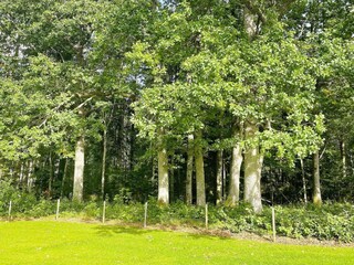 Vakantiehuis Färgelanda  14