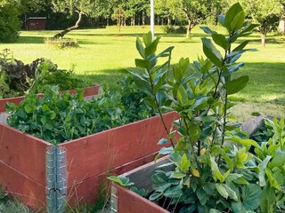 Vakantiehuis Färgelanda Buitenaudio-opname 1