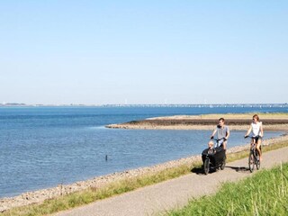 Vakantiehuis Colijnsplaat Omgeving 24