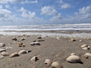 Holiday house Kongsmark  6