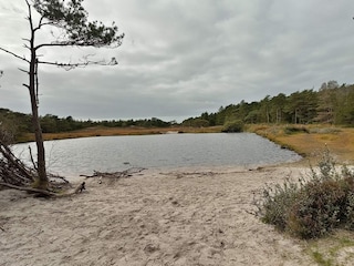 Holiday house Kongsmark  33
