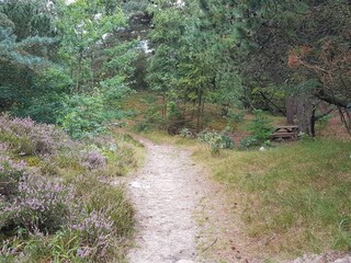 Vakantiehuis Kongsmark  28