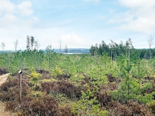 Ferienhaus Nissafors  15