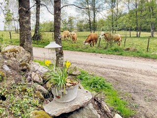 Vakantiehuis Nissafors  40