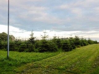 Holiday house Hals Outdoor Recording 8