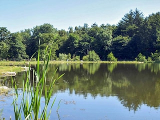 Vakantiehuis Hals  35