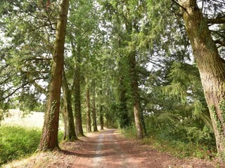 Vakantiehuis Issy-l'Eveque Omgeving 33