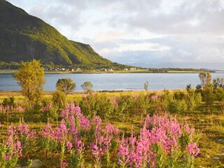 Vakantiehuis Laukvik  9