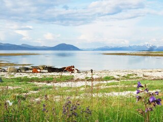 Vakantiehuis Laukvik  21