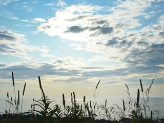 Vakantiehuis Laukvik  38