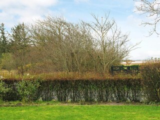 Ferienhaus Vester Husby  5