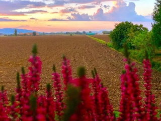 Vakantiehuis Spello Omgeving 16