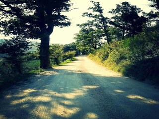 Holiday house Spello Environment 25