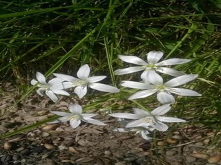 Ferienhaus Spello Umgebung 20