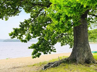 Vakantiehuis Alingsås  27
