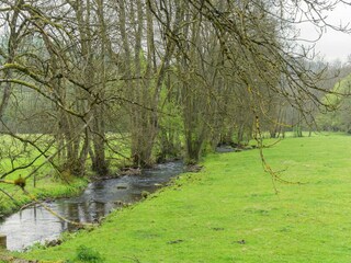 Vakantiehuisje Robelmont Omgeving 32