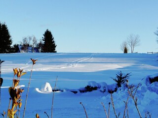 Vakantiehuis Winterberg Buitenaudio-opname 1