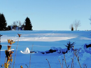 Vakantiehuis Winterberg Buitenaudio-opname 6